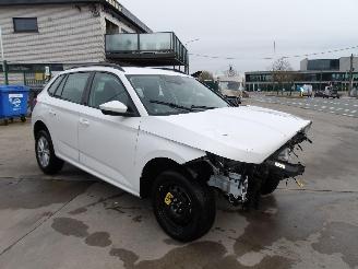 Auto incidentate Skoda Kamiq  2024/12
