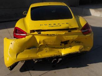 Porsche Cayman  picture 13