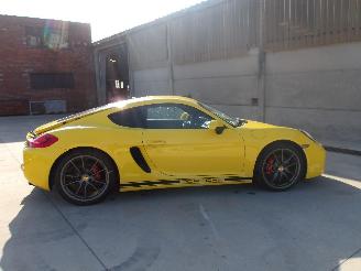 Porsche Cayman  picture 10