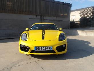Porsche Cayman  picture 3