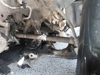 Renault Clio  picture 13