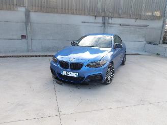 Schadeauto BMW 2-serie  2017/1