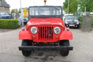 Jeep Willys 4X4 BENZINE UITVOERING MET OPEL MOTOR picture 15