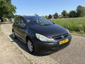 Peugeot 307 1.6-16V NAVTECH picture 13