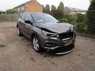 Opel Grandland X 1.2T Camera Navi Panodak picture 3