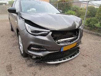 Opel Grandland X 1.2 T Navi Panodak Camera picture 8