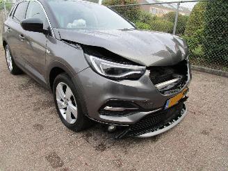 Opel Grandland X 1.2 T Navi Panodak Camera picture 9