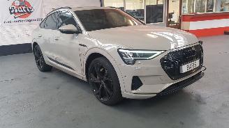  Audi E-tron 50 SUV  AUT ELEKTRISCH  230KW 313PK 4x4 2019-09 2020/12
