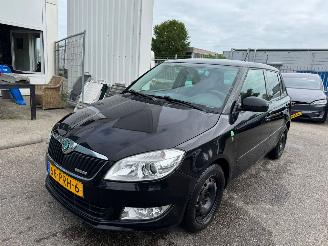 Unfallwagen Skoda Fabia 1.2 TDI Greenline 2011/3