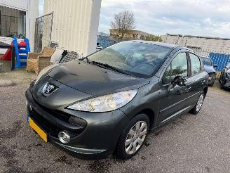 skadebil auto Peugeot 207 1.4-16V XR 2006/5