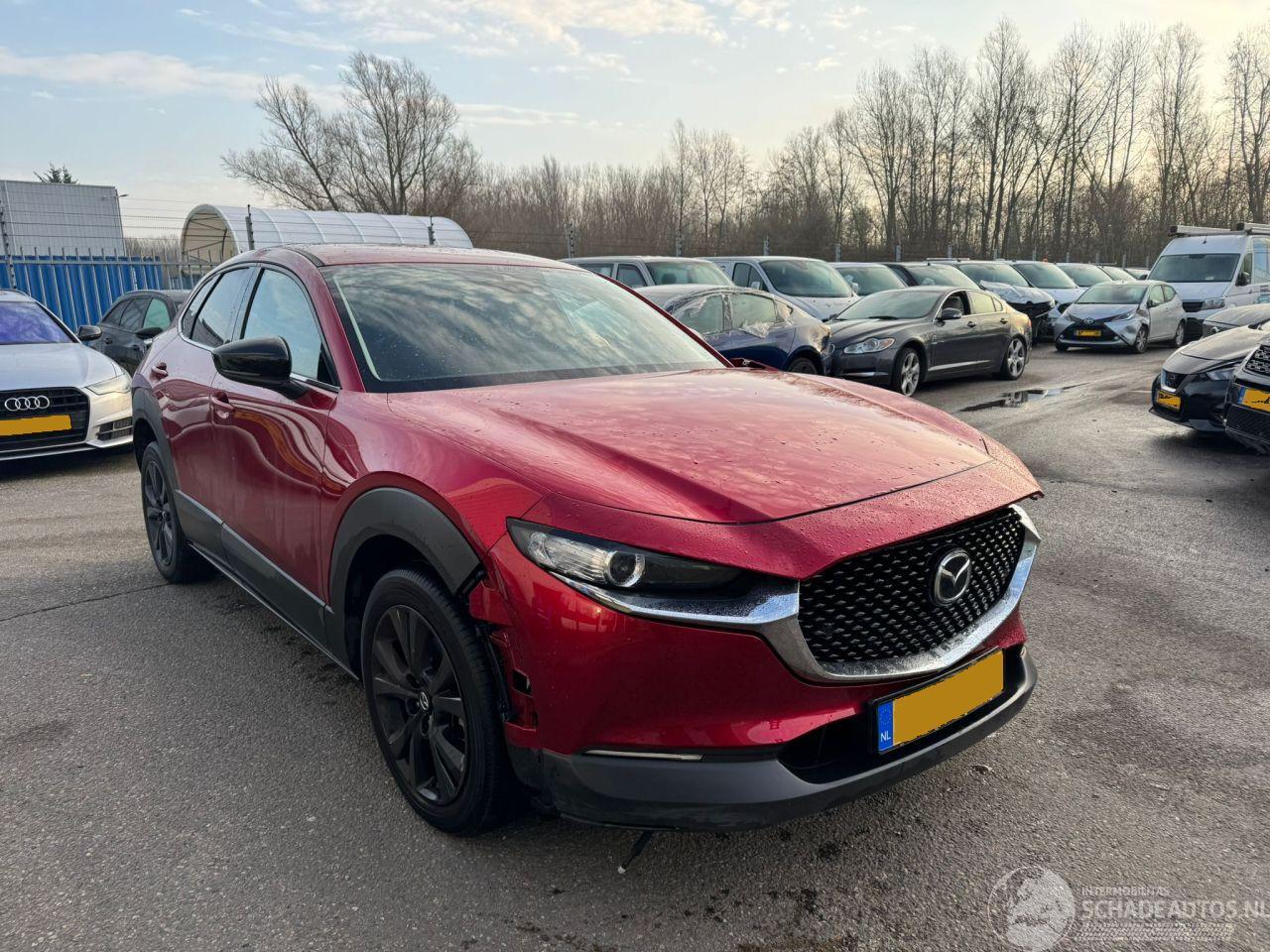 Mazda CX-30 2.0 AUTOMAAT e-SkyActiv-X M Hybrid Homura BJ 2023 10319 KM