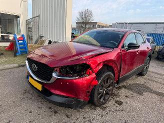 Mazda CX-30 2.0 AUTOMAAT e-SkyActiv-X M Hybrid Homura BJ 2023 10319 KM picture 2