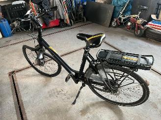 Stella  STELLA VICENZA DAMES picture 3