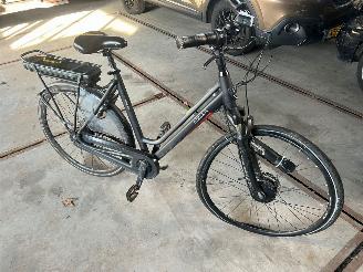 Stella  STELLA VICENZA DAMES picture 1