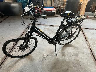 Stella  STELLA VICENZA DAMES picture 6