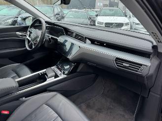 Audi E-tron e-tron 50 quattro Launch edition plus 71 kWh picture 13