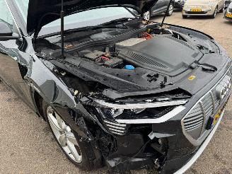 Audi E-tron e-tron 50 quattro Launch edition plus 71 kWh picture 8