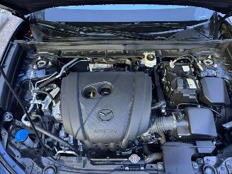 Mazda CX-30 2.0 e-SkyActiv-G M Hybrid Homura picture 8