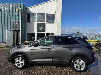 Opel Grandland X 1.2 Turbo Business Executive picture 2