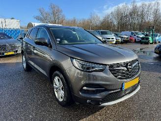 Opel Grandland X 1.2 Turbo Business Executive picture 6