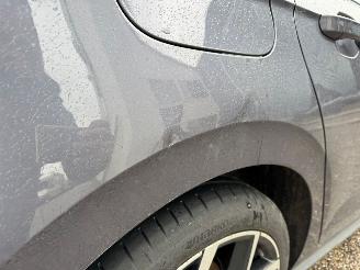 Volkswagen Polo 2.0 AUTOMAAT TSI GTI picture 7