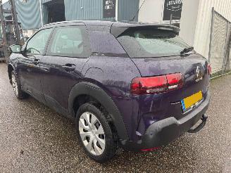 Citroën C4 cactus 1.2 PureTech Business picture 3