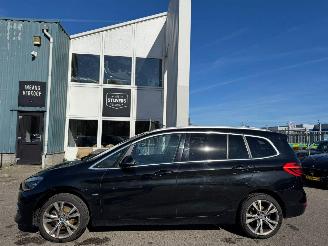 BMW 2-serie Gran Tourer 218i AUTOMAAT 7p. High Executive Launch Edition picture 2