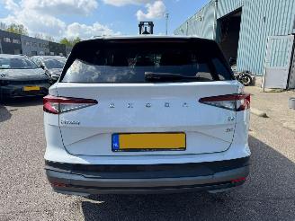 Skoda Enyaq iV 80 picture 6