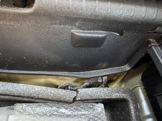 Kia e-Niro ExecutiveLine 64 kWh picture 21