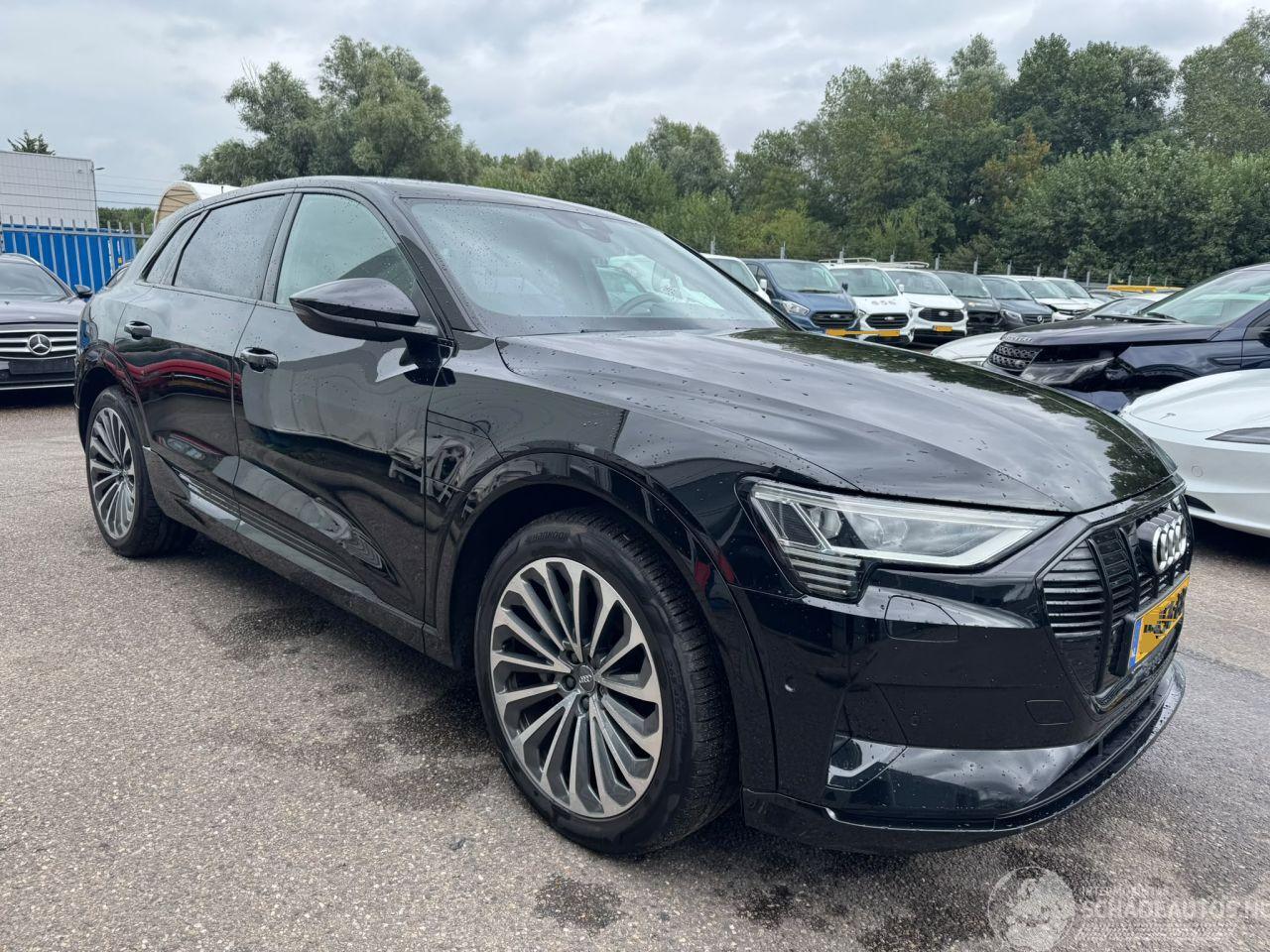 Audi E-tron 55 AUTOMAAT quattro advanced 95 kWh