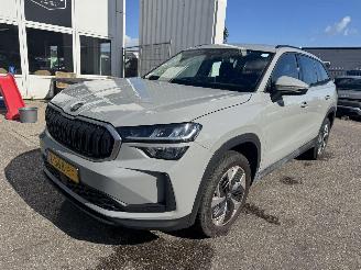 škoda osobní automobily Skoda Kodiaq 1.5 TSI MHEV Business Edition 7p 2024/6