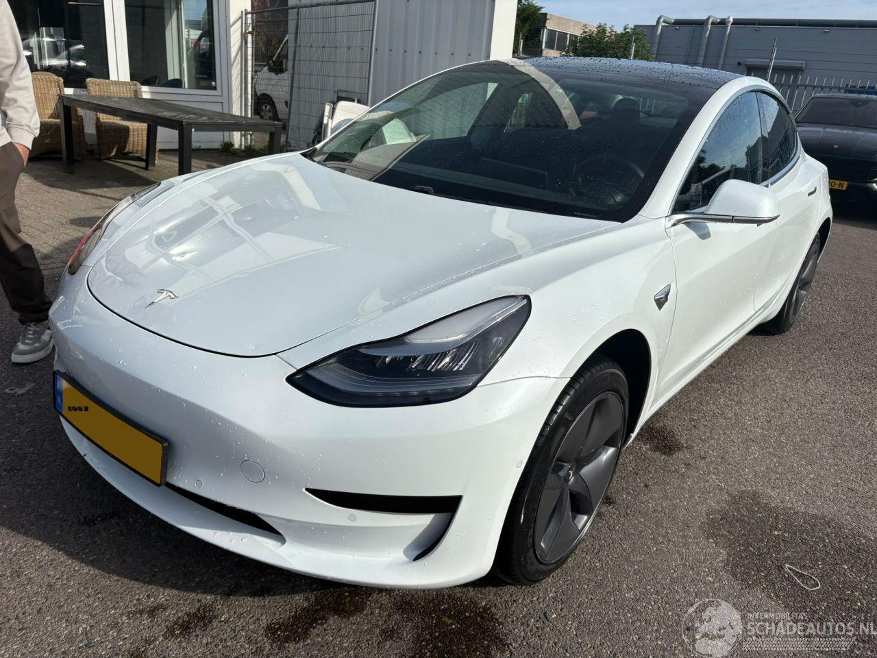 Tesla Model 3 Standard RWD Plus 60 kWh