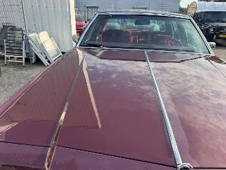 Buick Electra Park Avenue AUTOMAAT picture 9