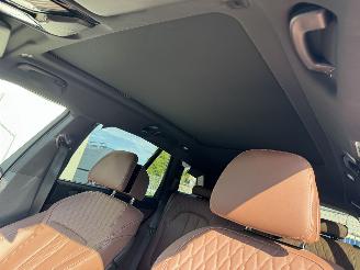 BMW X5 Xdrive50e Launch Edition picture 24