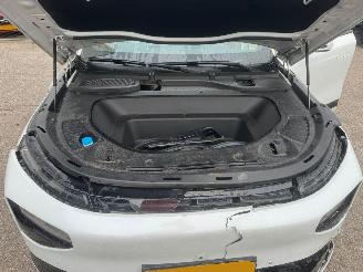 Xpeng G9 AWD Performance 98 kWh 551 PK picture 10