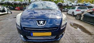 Peugeot 5008 1.6 THP picture 1