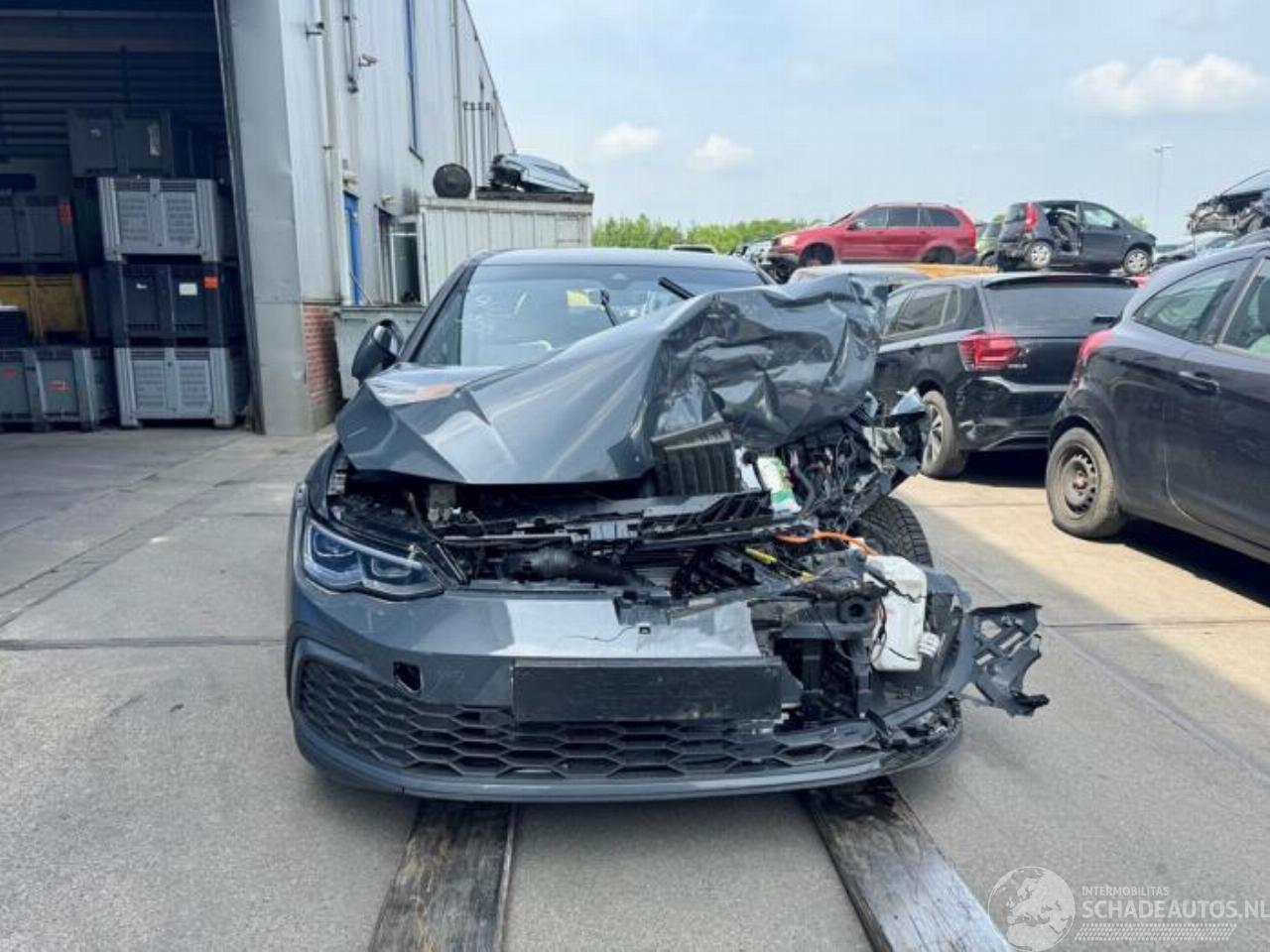 Volkswagen Golf Golf VIII (CD1), Hatchback, 2019 1.4 TSI eHybrid 16V