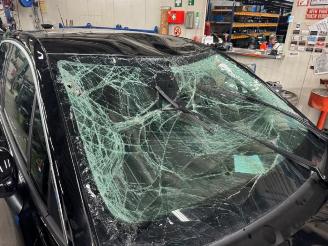 Opel Crossland Crossland (X), SUV, 2017 1.2 Turbo 12V Euro 6 picture 12