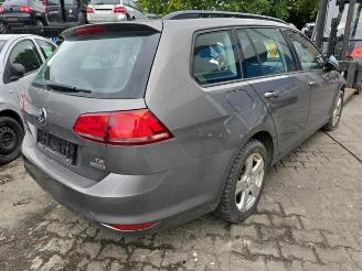 Volkswagen Golf Golf VII Variant (AUVV), Combi, 2013 / 2021 1.6 TDI 16V picture 7