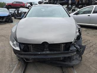 Volkswagen Golf Golf VII Variant (AUVV), Combi, 2013 / 2021 1.6 TDI 16V picture 2