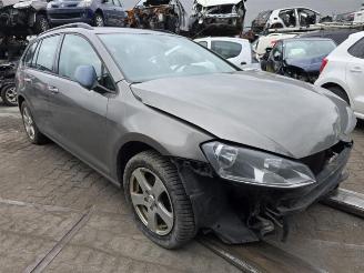Volkswagen Golf Golf VII Variant (AUVV), Combi, 2013 / 2021 1.6 TDI 16V picture 9