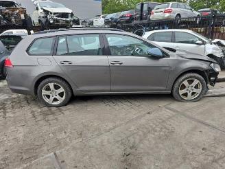 Volkswagen Golf Golf VII Variant (AUVV), Combi, 2013 / 2021 1.6 TDI 16V picture 8