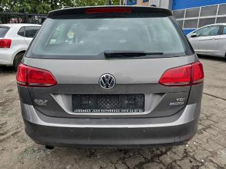 Volkswagen Golf Golf VII Variant (AUVV), Combi, 2013 / 2021 1.6 TDI 16V picture 6