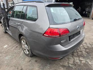 Volkswagen Golf Golf VII Variant (AUVV), Combi, 2013 / 2021 1.6 TDI 16V picture 5