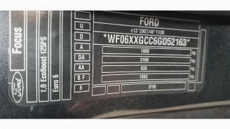 Ford Focus  picture 5