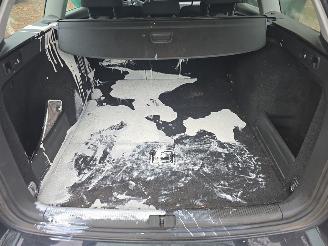 Volkswagen Passat  picture 12