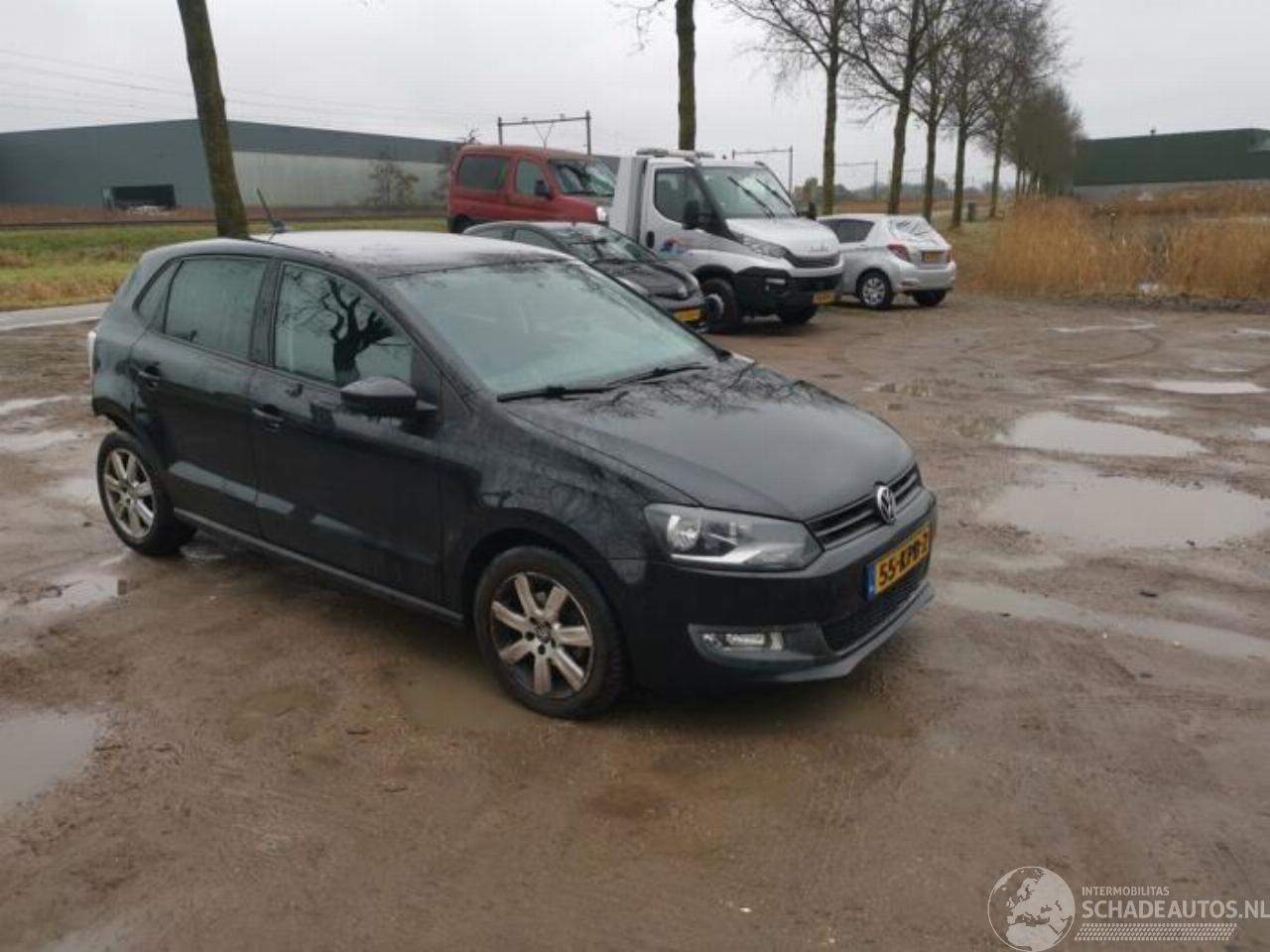 Volkswagen Polo Polo V (6R), Hatchback, 2009 / 2017 1.4 16V