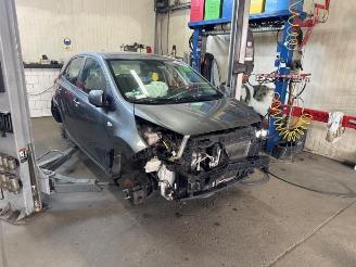 Uttjänta bilar auto Kia Picanto Picanto (JA), Hatchback, 2017 1.0 DPI 12V 2023/8