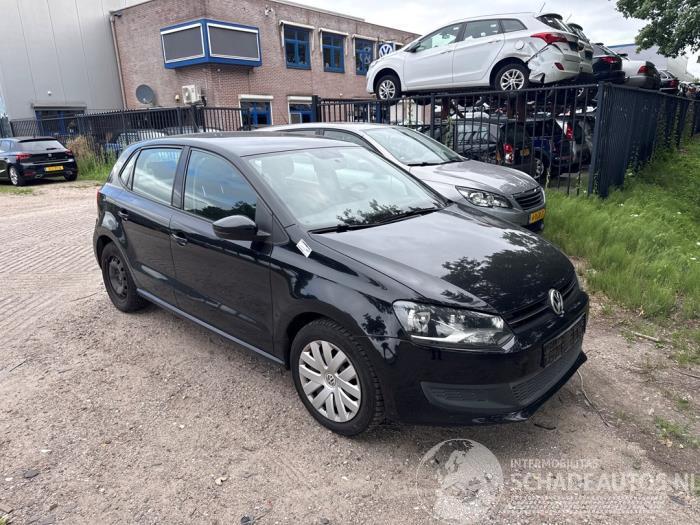 Volkswagen Polo Polo V (6R), Hatchback, 2009 / 2017 1.4 16V