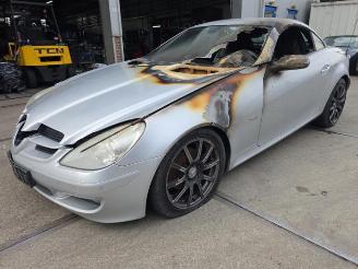 Mercedes SLK SLK (R171), Cabrio, 2004 / 2011 1.8 200 K 16V picture 2